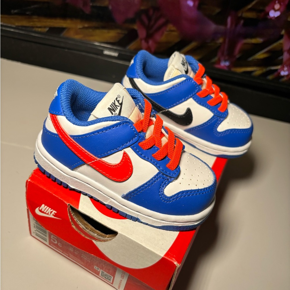 Toddler Dunks Size 5C